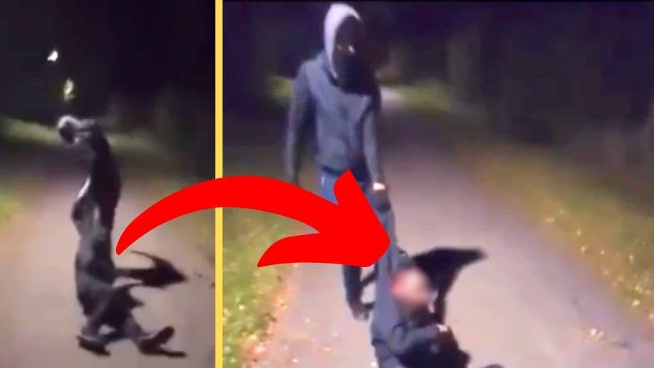 VIDEO: Gäng släpar man på gångväg &#8211; stampas och förnedras